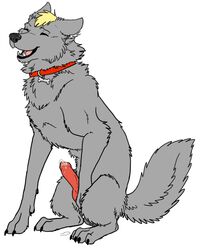 1boy barkwoof canine collar cum feral grey male male_only penis solo