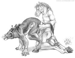 anthro balls blotch donkey equine fingerhooves fur furry furry_only gay hooves horse horsecock male penis