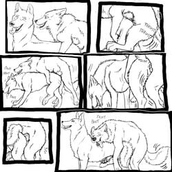 anal anal_sex balls barkwoof canine closed_eyes feral male open_mouth penetration penis sex tongue wolf yaoi