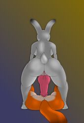 anthro big_penis breasts canid canine disney duo female fox futanari genitals gynomorph hi_res imminent_sex intersex intersex/female judy_hopps lagomorph leporid male male/female mammal penis rabbit simple_background tweed zootopia