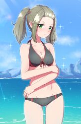 1girls bare_arms bare_legs bare_shoulders belly belly_button bikini bikini_bottom bikini_top black_bikini blush breasts brown_hair cleavage collarbone day daytime female female_focus green_eyes hair_ornament hair_ribbon kamidan looking_at_viewer medium_breasts midriff navel outdoors outside shania_(xenoblade) sidelocks solo solo_female stomach swimsuit swimwear twintails water xenoblade_(series) xenoblade_chronicles_(series) xenoblade_chronicles_3