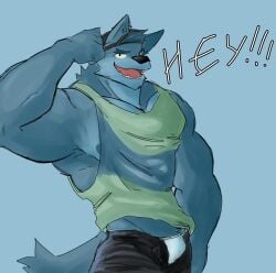 1boy anthro bulge canine d3nji fur furry grey_body grey_fur ice_xhan male male_only open_clothes open_pants original unzipped wolf