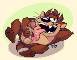 1boy anthro balls big_tongue bodily_fluids dasyurid dasyuromorph erection fur gay genitals hi_res licking looney_tunes male male_only mammal marsupial penis saliva simple_background smile smooth_fur solo tasmanian_devil tasmanian_devil_(looney_tunes) teeth tongue tongue_out topony warner_brothers