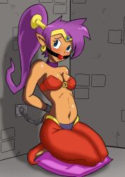 1girls arms_behind_back ball_gag blue_eyes bra breasts chains choker darkchaosblack earrings female female_only gag gagged kneeling medium_breasts midriff navel o-ring o-ring_bra pants pillow ponytail purple_choker purple_hair purple_pillow red_bra red_pants shantae shantae_(character) smooth_skin solo tiara