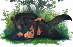 1boy1girl anthro_on_female anthro_on_human anthro_penetrating anthro_penetrating_female anthro_penetrating_human elf female_penetrated furry harag human_female light_skin light_skinned_female nonhuman_male_on_human_female red_eyes straight werewolf