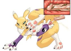 anal digimon dirty_anal furry inside_view legs_up nikuyoku peeing pussy raised_tail renamon scat tail unseen_male_face watersports x-ray yellow_fur