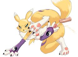 anal anthro digimon furry nikuyoku peeing pussy pussy_spreading renamon tail unseen_male_face urine watersports