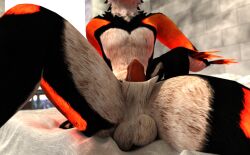 animal_genitalia animal_genitals animal_penis anthro anthro_only balls black_fur black_markings black_pawpads blender_(software) canid canine canine_genitalia canine_genitals canine_penis chancesphere feathers finger_in_sheath fur furry furry_only glowing_fur glowing_markings jex jexouium leg_raised legs_apart legs_spread male male_only orange_feathers orange_fur penis penis_tip precum precum_drip precum_dripping precum_on_penis red_penis rexouium sheath_play sheathed sitting vr_media white_belly