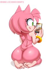 amy rose from sega by delicioussoup