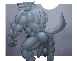 anthro ass balls big_balls big_penis boner canid canine erection fleshformomo furry huge_muscles male male_only muscular muscular_male nude penis solo solo_male sweat sweating wolf