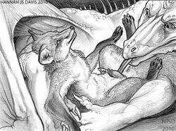 2010 ahkahna anthro black_and_white canine canine_penis claws dragon ear_tufts erection fellatio feral fox furry furry_only gay knot licking male monochrome nude on_back open_mouth oral oral_sex paws penis scalie sex tongue