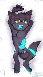 anatomically_correct anatomically_correct_genitalia anatomically_correct_penis animal_genitalia animal_penis bed blue_body blue_fur blue_pawpads blue_penis canid canine canine_genitalia canine_penis codyf0xx dakimakura dakimakura_design erection fan_character fur furniture genitals green_eyes grey_body grey_fur hi_res male mammal markings pawpads penile penis sega sonic_(series) sonic_the_hedgehog_(series) striped_markings stripes swift_(swiftrogue)