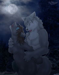 2010 anthro breasts canine closed_eyes dark ear_piercing earring female from_behind fur furry lunar_epitaph male mammal night nude outdoors piercing sex straight tail wolf