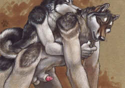 2009 anal anthro balls blotch canine canine_penis closed_eyes doggy_style eyes fur furry furry_only gay husky knot love male no_humans pant penis sex sheath tail wolf