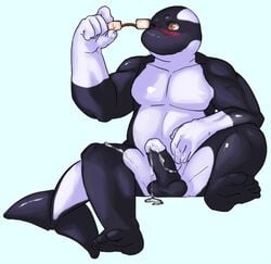 1boy blush brown_eyes cetacean cum darwen erection gazpacho glasses male male_only marine orca penis solo