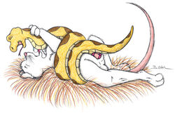 2010 anthro_bestiality balls closed_eyes female feral male mouse nude on_back penetration penis rodent sex sherwood snake straight vaginal_penetration