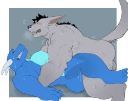 anal anal_sex anthro balls big_balls big_penis boner canid canine dragon duo fleshformomo furry gay huge_muscles male male/male male_only momo_(fleshformomo) muscular muscular_male nude pecs sex sweat sweating wolf x-ray