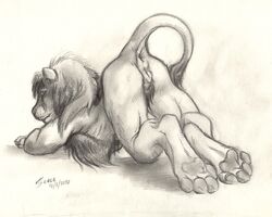 1cuntboy 2010 alessio_scalerandi anthro anus ass ass_up cuntboy cuntboy_only feline fur furry intersex large_ass lion nude on_front pussy raised_tail scale_(artist) sketch solo tail