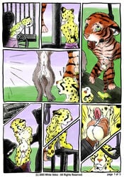 2005 anthro anthro_only asphyxiation cage canine comic dead death execution feline fur furry furry_only gallows gay hanged male male_only noose paws peeing penis sheath tail testicles tiger tongue urine veksihunger watersports white_veksi wolf