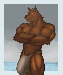 anthro balls big_balls big_bulge big_penis bulge canid canine crossed_arms flaccid fleshformomo furry huge_balls huge_cock loincloth male male_only muscular muscular_male pecs penis penis_outline solo solo_male sweat sweating wolf