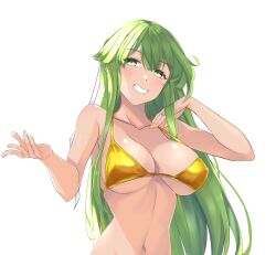 1girls alternate_costume bangs bare_arms bare_shoulders bikini blush breasts chuu_(rinet) collarbone commentary_request female female_only fire_emblem fire_emblem:_mystery_of_the_emblem fire_emblem:_shadow_dragon_and_the_blade_of_light green_eyes green_hair grin hands_up highres jewelry large_breasts long_hair looking_at_viewer navel nintendo palla_(fire_emblem) reaching_out ring sideboob simple_background smile solo stomach swimsuit tan underboob upper_body very_long_hair wedding_band wedding_ring white_background yellow_bikini yellow_swimsuit