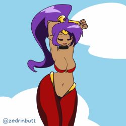 1girls animated armpits bare_shoulders big_breasts bouncing_breasts breasts clothed clothes clothing female female_only hip_sway hips humanoid large_breasts long_hair meme ponytail purple_hair shantae shantae_(character) smooth_skin solo solo_female thick thick_thighs thighs wide_hips zedrin