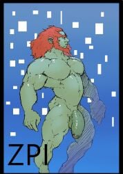 balls bara beard big_penis facial_hair flaccid ganondorf ganondorf_(hyrule_warriors) gay hyrule_warriors male male_only muscles muscular nintendo nude penis solo solo_male the_legend_of_zelda zenpei