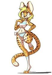 Big Breasts Rule 34 Image