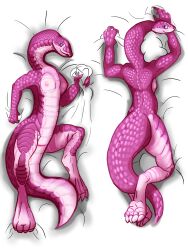 absurd_res anthro bottomwear clothing dakimakura_design female hi_res nipples pink_body reptile scales scalie skirt snake solo universaldragon