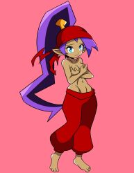 1girls blue_eyes breasts covering datwondoude female female_only ponytail purple_hair shantae shantae_(character) smooth_skin solo