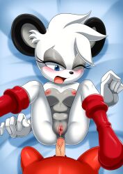 barby_koala bbmbbf furry koala mammal mobius_unleashed palcomix sonic_(series) sonic_the_hedgehog_(archie) sonic_the_hedgehog_(comics) sonic_the_hedgehog_(series) vaginal_penetration white_fur