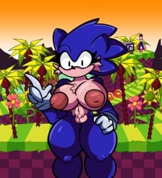 1boy 1girls anthro blue_fur breasts dragon_ball female female_focus female_only friday_night_funkin friday_night_funkin_mod fur gloves hedgehog hog_(rblxtrex) rule_63 sega solo sonic.exe sonic_(series) sonic_the_hedgehog_(series) tan_fur tropical_setting vegeta