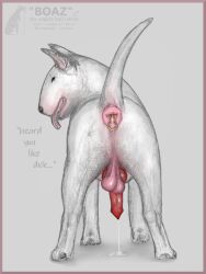 3:4 anal_piercing animal_genitalia animal_penis anus ass balls bodily_fluids bull_terrier canid canine canine_penis canis cum cum_pool darkmare dirty_anus domestic_dog ejaculation erection feces feral fur genital_fluids genitals hunting_dog knot looking_at_viewer looking_back male male_only mammal penis piercing pink_anus pink_balls presenting presenting_hindquarters saggy_balls solo terrier text tongue tongue_out white_body white_fur