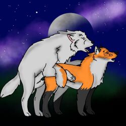 1:1 animal_genitalia animal_penis arctic_wolf canid canine canine_genitals canine_penis canis doggy_style duo female feral feral_on_feral fire fox from_behind_position full_moon furryslut89 genitals humping male male/female mammal moon night penis red_fox sex sky star starry_sky wolf