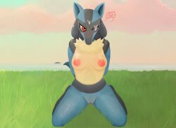 anthro female generation_4_pokemon holemann lucario nintendo pokemon pokemon_(species) solo video_games