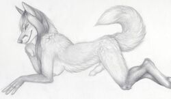 4_fingers all_fours anthro barefoot breasts canine closed_mouth erection fox fur furry furry_breasts furry_ears furry_tail graphite_(medium) greyscale hair herm intersex intersex_only knot korrok monochrome nude on_front penis pointy_ears side_view sketch solo tail white_background