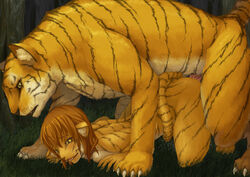 all_fours animal anthro_bestiality ass_up brown_hair drool feline female feral hair interspecies male saliva short_hair straight stripes tail tiger yellow_eyes yuru