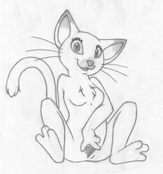 2008 amarimasi breasts feline clitoris feline female nude pussy sketch solo spread_legs spread_pussy spreading