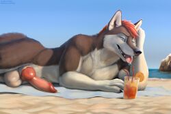 animal_genitalia animal_penis anthro balls beach beverage black_nose bodily_fluids canid canine canine_genitalia canine_penis canis erection fangs fur genitals grey_body grey_fur hair hi_res knot knotted_penis male mammal nude nude_anthro nude_male outdoor_nudity outside penis red_hair saliva saliva_on_tongue sand sheath solo storm_(stormwx_wolf) tail teeth tongue tongue_out virtyalfobo wolf
