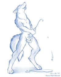 1boy anthro ball_fondling balls canine canine_penis cum fur furry male male_only masturbation penis solo tail taurin_fox tongue wolf