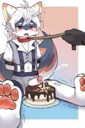 absurd_res artist_laggy birthday birthday_cake bodily_fluids bondage cake canid canine character_maoxian cum dessert food genital_fluids genitals hi_res male male/male mammal neck_tuft pawpads penis solo_focus tuft