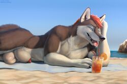 animal_genitalia animal_penis anthro balls beach beverage black_nose bodily_fluids canid canine canine_genitalia canine_penis canis fangs fur genitals grey_body grey_fur hair hi_res male mammal nude nude_anthro nude_male outdoor_nudity outside penis penis_tip red_hair saliva saliva_on_tongue sand sheath solo storm_(stormwx_wolf) tail teeth tongue tongue_out virtyalfobo wolf