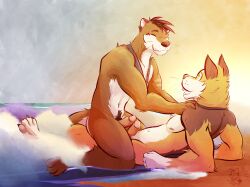 anthro beach beach_sex canid canine duo erection fox frottage genitals happy hi_res humanoid_genitalia humanoid_penis male male/male mammal mustelid otter penile penis sex tips_touching ventkazemaru water