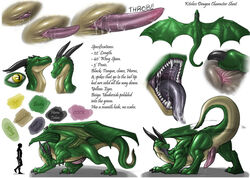 anus dragon erection green horns kiteless male model_sheet narse open_mouth penis presenting reptile scalie tail teeth tongue wings