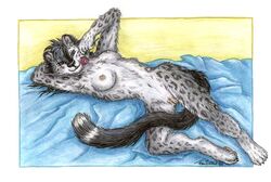 breasts cute feline female looking_at_viewer nude paws pussy schnolf snow_leopard solo tail tani tani_da_real valentine_2004