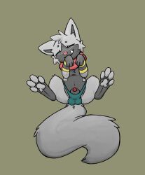 2022 animal_genitalia azzy_(azzyyeen) azzyyeen balls_outline belly clothed clothed_feral clothing eyes_mostly_closed fan_character fangs feral front_view fur generation_3_pokemon genital_outline genitals grey_background grey_body grey_fur hindpaw legs_up lying male multicolored_body multicolored_fur narrowed_eyes naughtyfoxnoc nintendo on_back panties pawpads paws penis penis_tip pokemon pokemon_(species) poochyena quadruped scarf sheath simple_background solo two_tone_body two_tone_fur underwear video_games