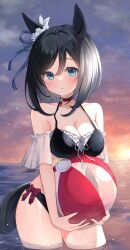 black_hair blue_eyes blush eishin_flash_(umamusume) short_hair swimsuit umamusume