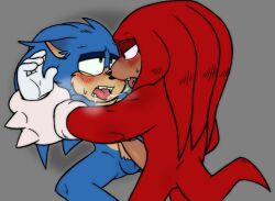 knuckles the echidna from sonic (series)