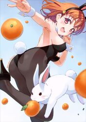 ass ass_focus blush bunny_ears bunny_tail bunnysuit kitahara_tomoe_(kitahara_koubou) love_live! love_live!_sunshine!! orange_hair rabbit red_eyes takami_chika tangerine