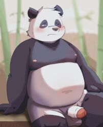 2022 anthro balls bamboo belly big_belly black_body black_nose blush erection genitals giant_panda hi_res humanoid_hands kemono male mammal moobs nipples one_eye_closed overweight overweight_male penis pixiv_id_54092237 sitting solo ursid white_body